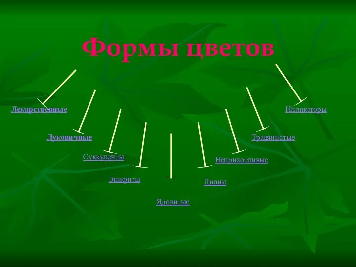 Формы цветов Лекарственные Луковичные Суккуленты Лианы Неприхотливые Эпифиты Травянистые Индикаторы Ядовитые