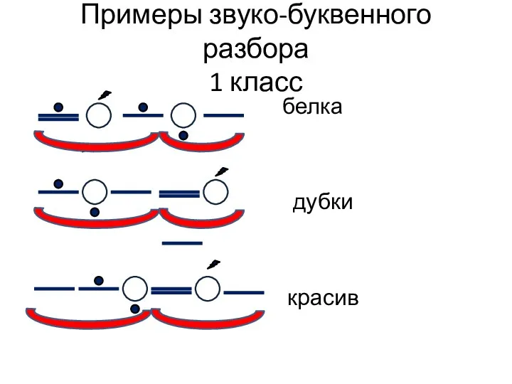 Примеры звуко-буквенного разбора 1 класс белка дубки красив