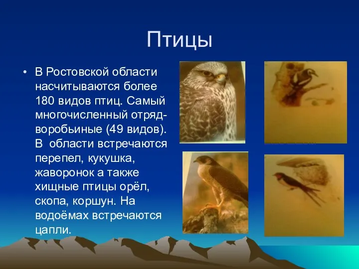Птицы В Ростовской области насчитываются более 180 видов птиц. Самый