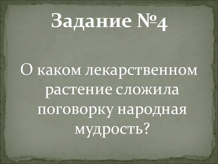 О каком лекарственном растение сложила поговорку народная мудрость? Задание №4