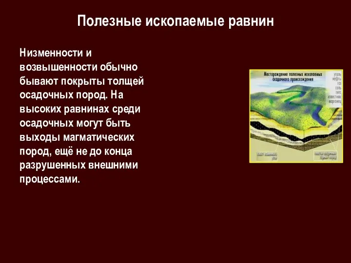 Полезные ископаемые равнин Низменности и возвышенности обычно бывают покрыты толщей