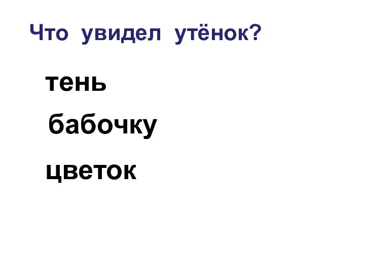 Что увидел утёнок? тень бабочку цветок