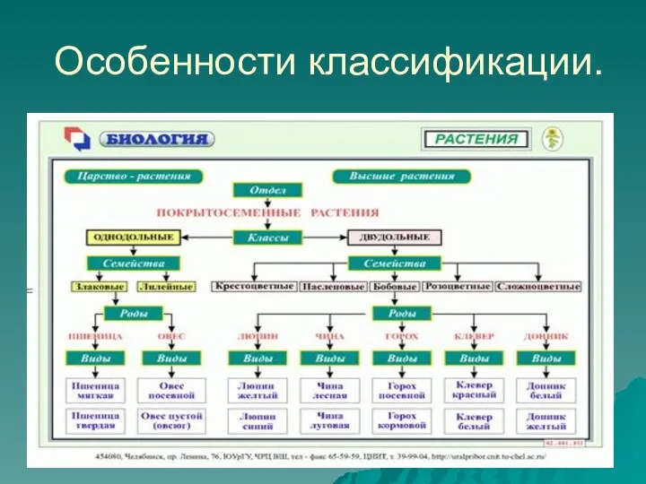 Особенности классификации.