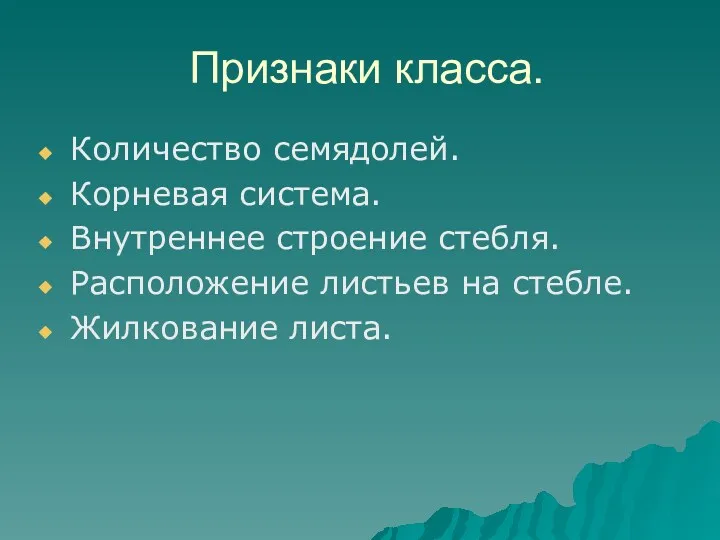 Признаки класса. Количество семядолей. Корневая система. Внутреннее строение стебля. Расположение листьев на стебле. Жилкование листа.