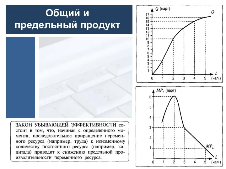 Общий и предельный продукт