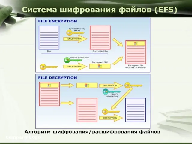 Система шифрования файлов (EFS) Алгоритм шифрования/расшифрования файлов Company Logo Система шифрования файлов (EFS)