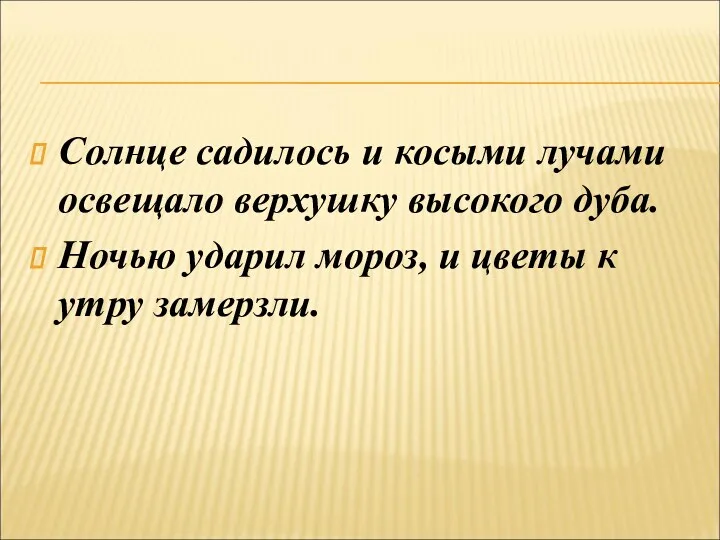 Солнце садилось и косыми лучами освещало верхушку высокого дуба. Ночью