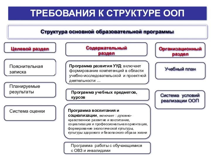 ТРЕБОВАНИЯ К СТРУКТУРЕ ООП Структура основной образовательной программы Учебный план