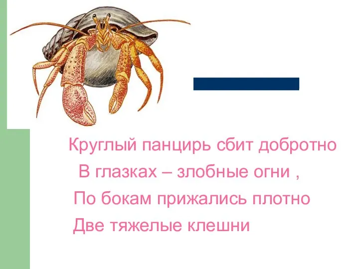 Круглый панцирь сбит добротно В глазках – злобные огни , По бокам прижались