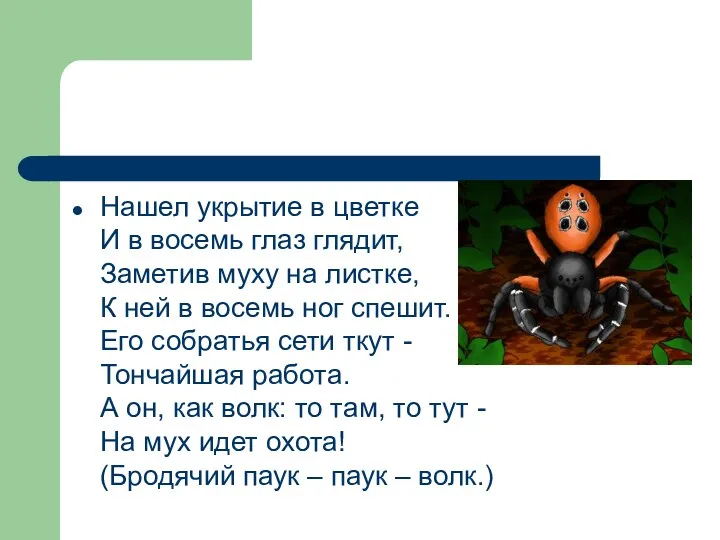 Нашел укрытие в цветке И в восемь глаз глядит, Заметив муху на листке,