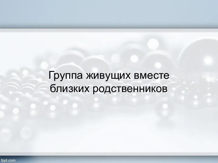 Группа живущих вместе близких родственников