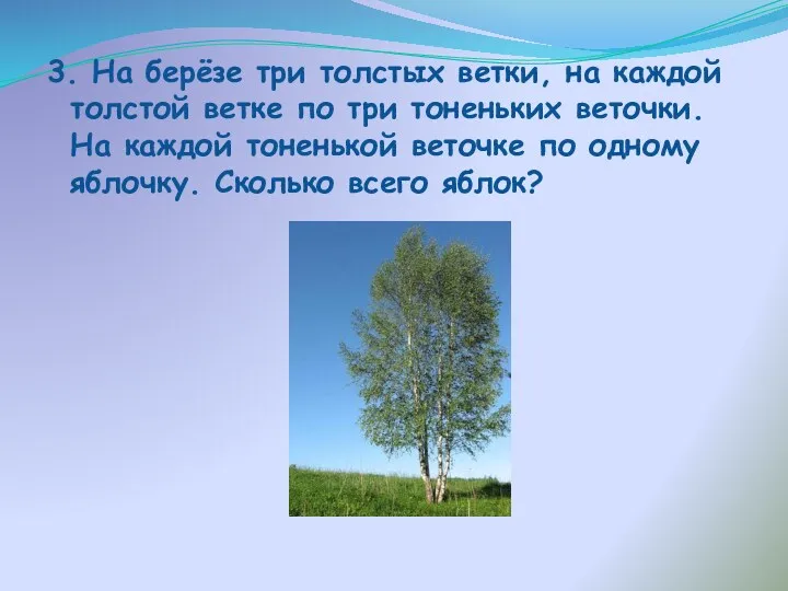 3. На берёзе три толстых ветки, на каждой толстой ветке