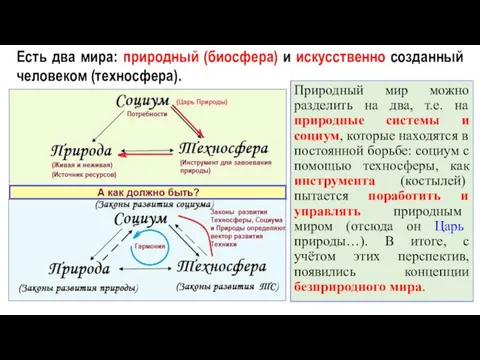 Природный мир можно разделить на два, т.е. на природные системы