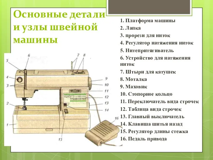 Основные детали и узлы швейной машины 1. Платформа машины 2. Лапка 3. прорези