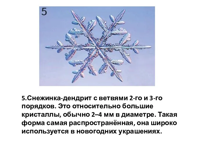 5.Снежинка-дендрит с ветвями 2-го и 3-го порядков. Это относительно большие