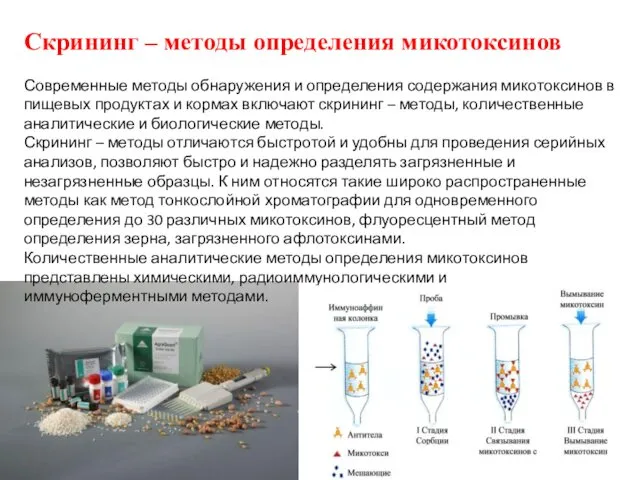 Скрининг – методы определения микотоксинов Современные методы обнаружения и определения