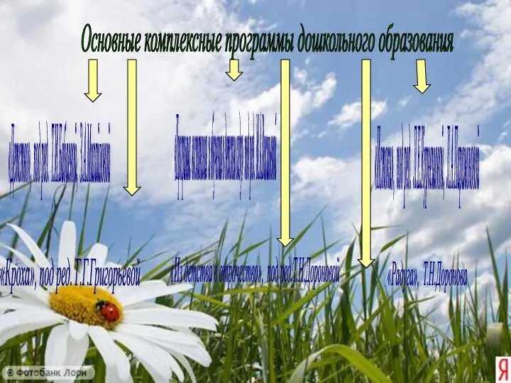 Основные комплексные программы дошкольного образования «Программа воспитания и обучения в