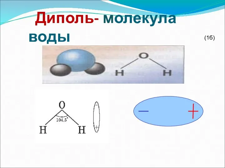 Диполь- молекула воды (1б)