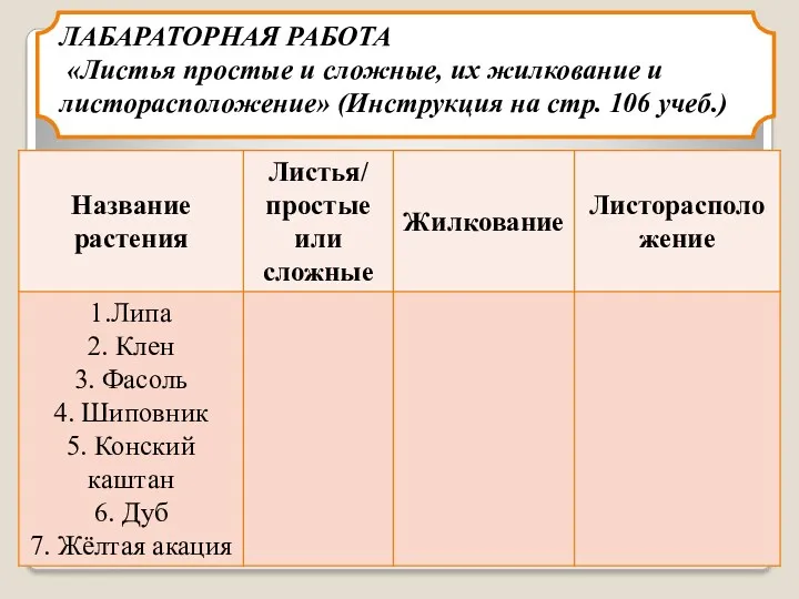 ЛАБАРАТОРНАЯ РАБОТА «Листья простые и сложные, их жилкование и листорасположение» (Инструкция на стр. 106 учеб.)