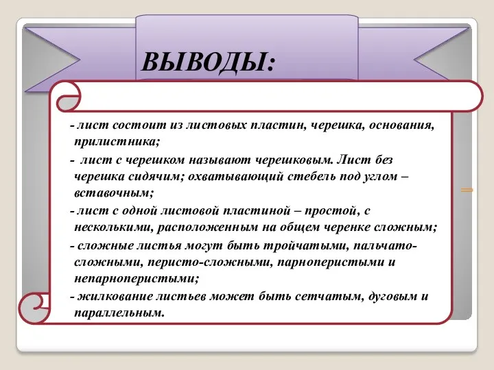 ВЫВОДЫ: - лист состоит из листовых пластин, черешка, основания, прилистника;