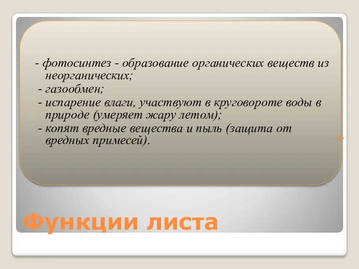 - фотосинтез - образование органических веществ из неорганических; - газообмен;