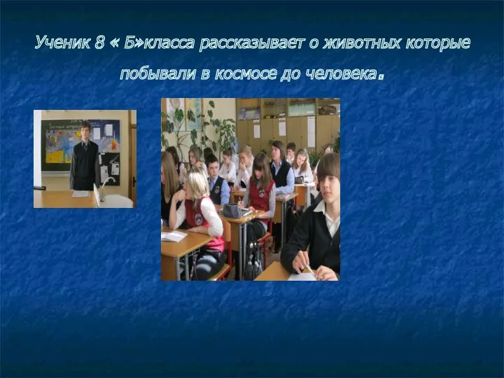 Ученик 8 « Б»класса рассказывает о животных которые побывали в космосе до человека.