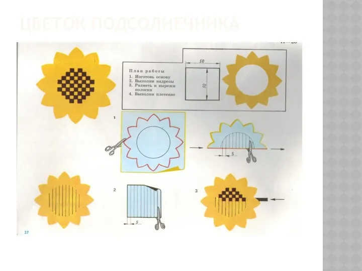 Цветок подсолнечника