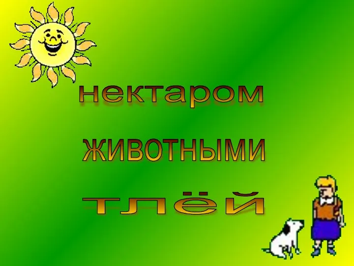 нектаром животными тлёй