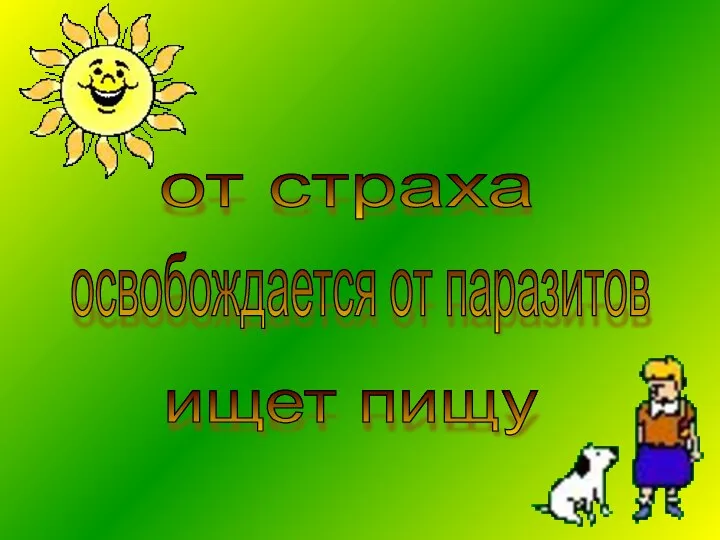 от страха освобождается от паразитов ищет пищу