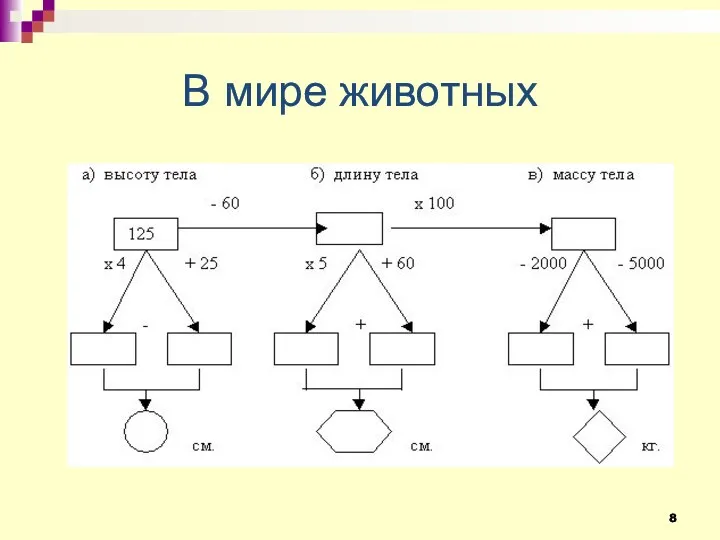 В мире животных