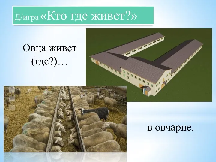 Д/игра «Кто где живет?» Овца живет (где?)… в овчарне.