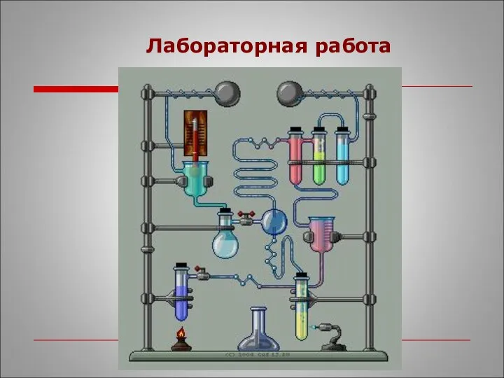 Лабораторная работа