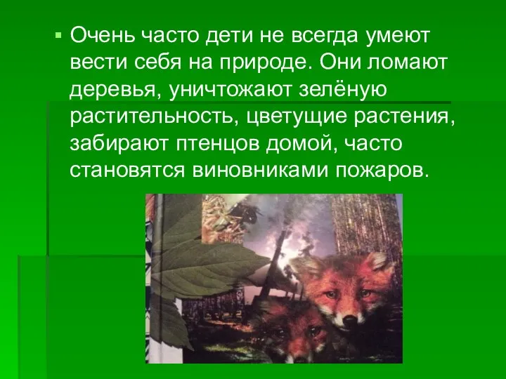 Очень часто дети не всегда умеют вести себя на природе.