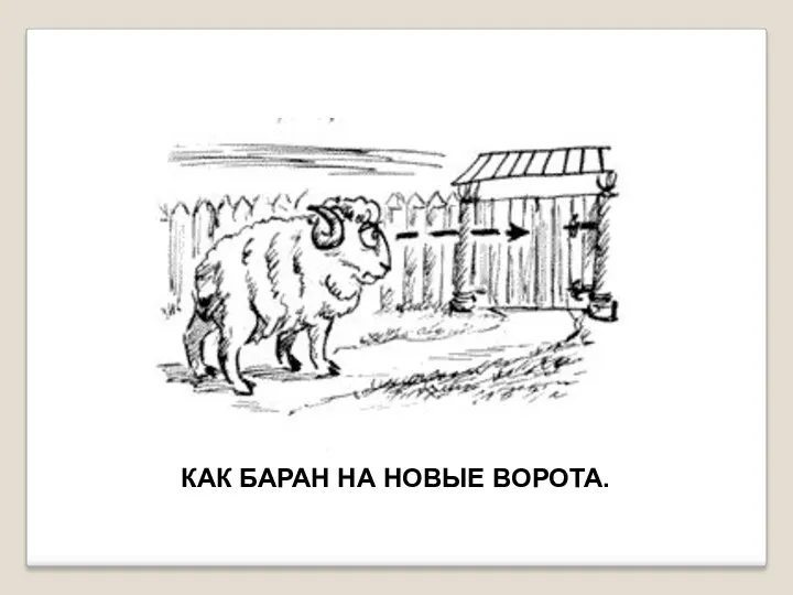 КАК БАРАН НА НОВЫЕ ВОРОТА.