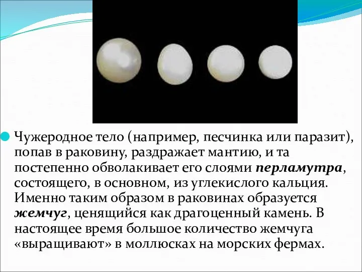 Чужеродное тело (например, песчинка или паразит), попав в раковину, раздражает мантию, и та