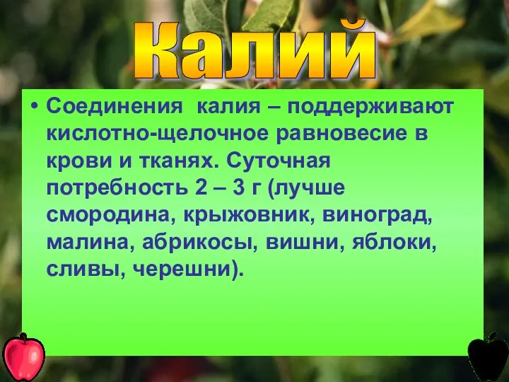 Соединения калия – поддерживают кислотно-щелочное равновесие в крови и тканях.