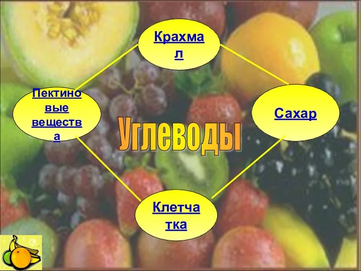 Углеводы Крахмал Клетчатка Пектиновые вещества Сахар