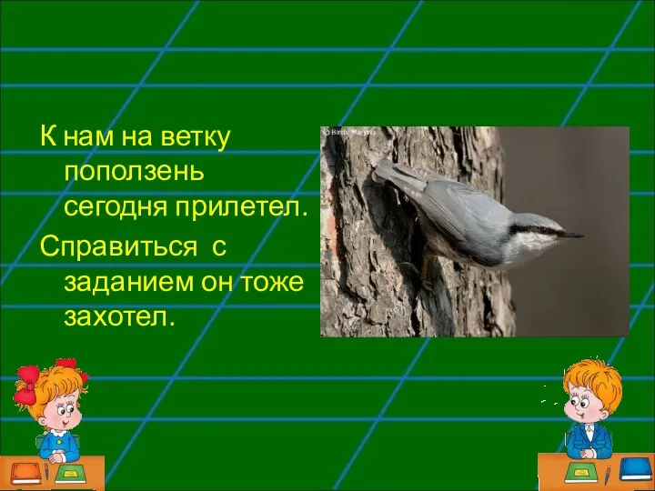 К нам на ветку поползень сегодня прилетел. Справиться с заданием он тоже захотел.