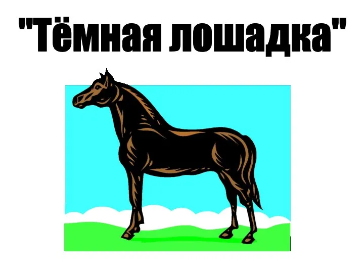 "Тёмная лошадка"
