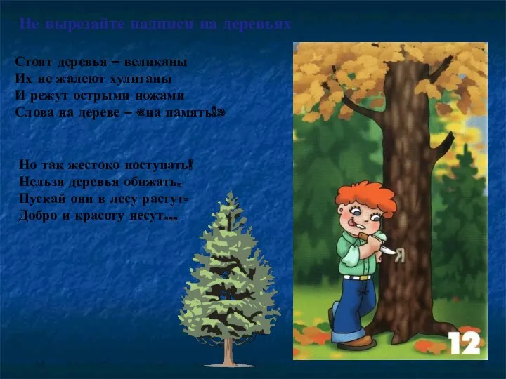 Не вырезайте надписи на деревьях Стоят деревья – великаны Их не жалеют хулиганы