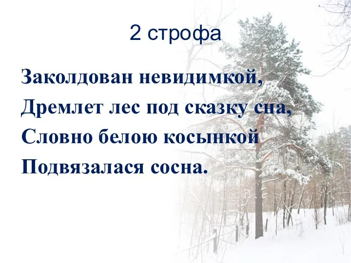 2 строфа Заколдован невидимкой, Дремлет лес под сказку сна, Словно белою косынкой Подвязалася сосна.