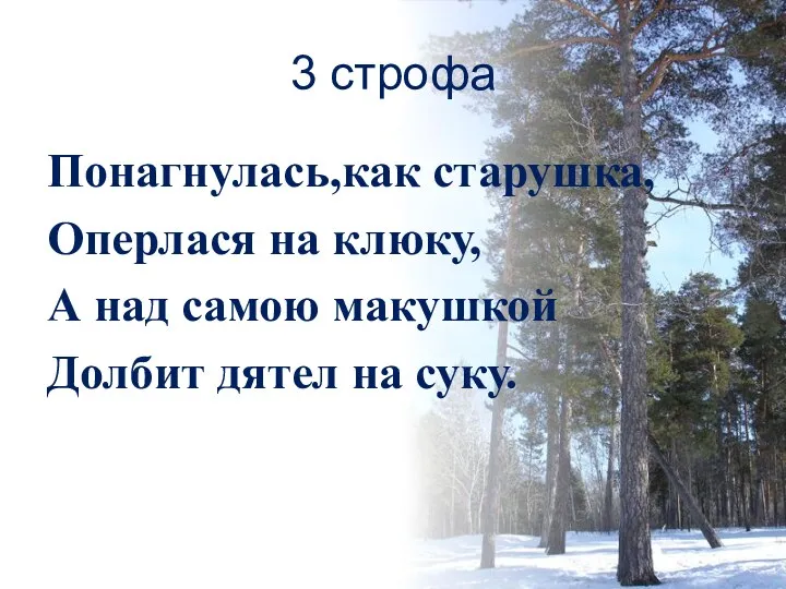 3 строфа Понагнулась,как старушка, Оперлася на клюку, А над самою макушкой Долбит дятел на суку.