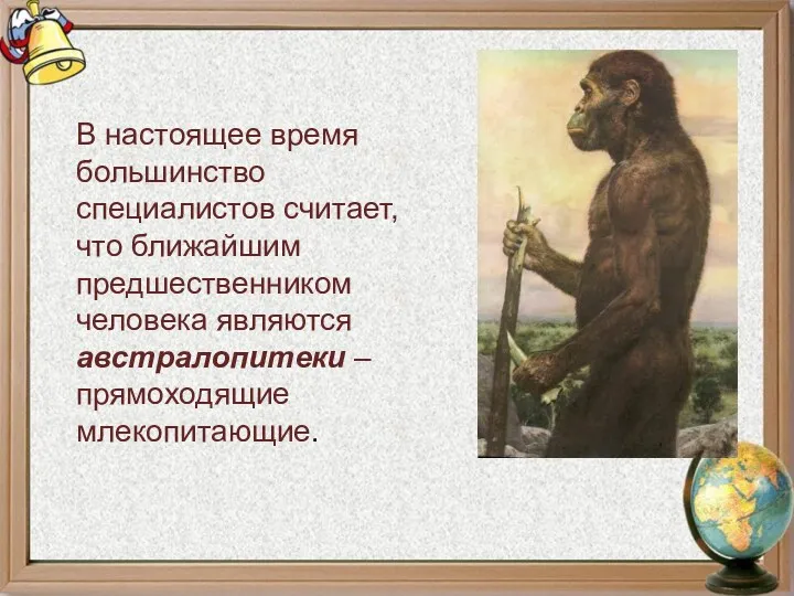 В настоящее время большинство специалистов считает, что ближайшим предшественником человека являются австралопитеки – прямоходящие млекопитающие.