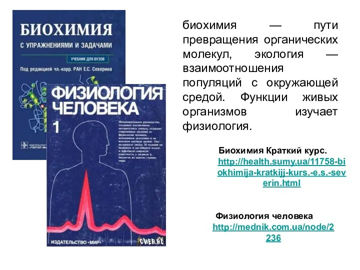 биохимия — пути превращения органических молекул, экология —взаимоотношения популяций с