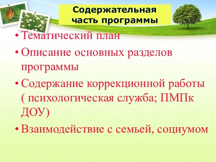 Содержательная часть программы Тематический план Описание основных разделов программы Содержание