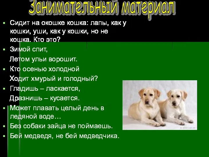 Сидит на окошке кошка: лапы, как у кошки, уши, как у кошки, но