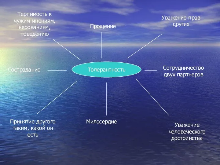 Толерантность Уважение прав других Сотрудничество двух партнеров Уважение человеческого достоинства Прощение Милосердие Терпимость