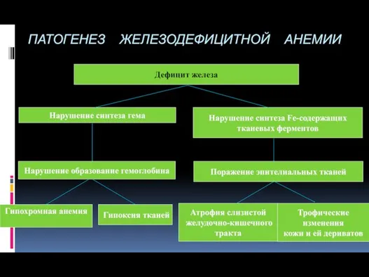 ПАТОГЕНЕЗ ЖЕЛЕЗОДЕФИЦИТНОЙ АНЕМИИ Дефицит железа Нарушение синтеза гема Нарушение образование гемоглобина Гипохромная анемия