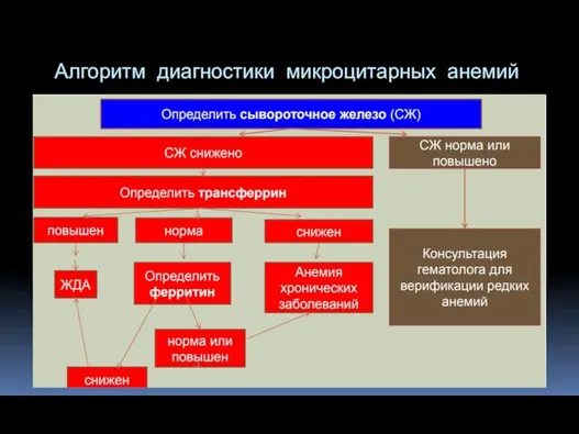 Алгоритм диагностики микроцитарных анемий