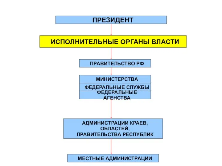 ПРЕЗИДЕНТ ИСПОЛНИТЕЛЬНЫЕ ОРГАНЫ ВЛАСТИ ПРАВИТЕЛЬСТВО РФ МИНИСТЕРСТВА ФЕДЕРАЛЬНЫЕ СЛУЖБЫ ФЕДЕРАЛЬНЫЕ